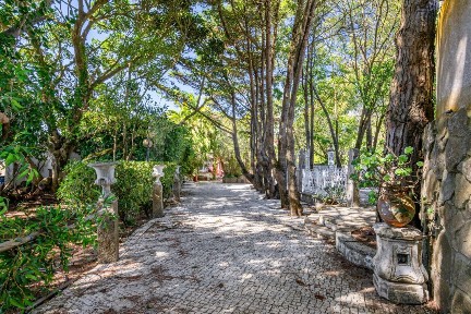 Quinta à venda em São João das Lampas