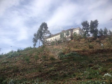 Armazém à venda na Rua Moinhos