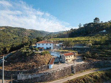 Quinta à venda em Espadanedo