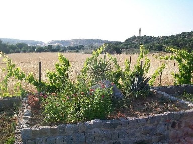 Quinta à venda em Caia - São Pedro - Alcáçova