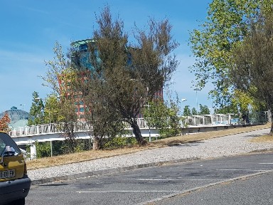 São Domingos de Benfica