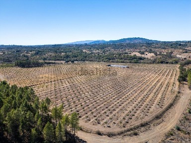Espaço comercial à venda em Meimoa