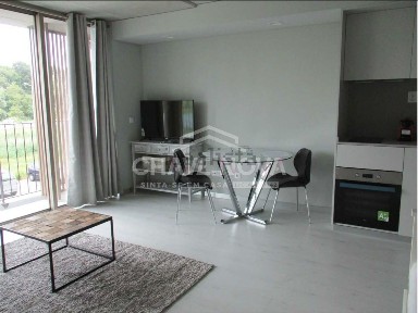 Arrendamento de apartamento T0 na Rua Cristovão Pinho Queimado s/n