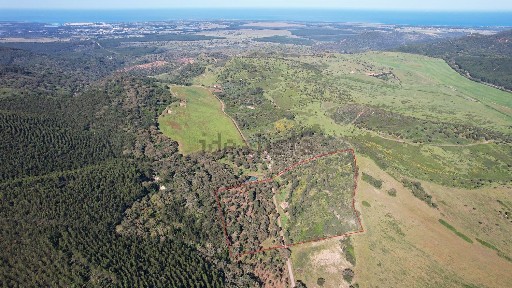 Quinta à venda em Quinta Courela do Chaparro s/n