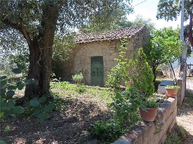 Quinta à venda na Estrada Principal