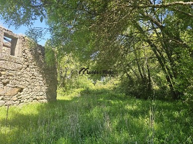 Castelo Branco