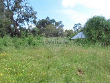 Quinta à venda em N233