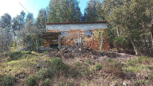 Sertã, Castelo Branco