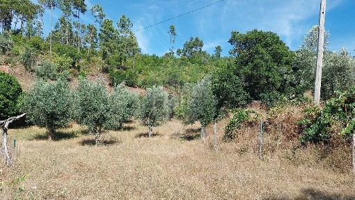 Moradia independente à venda em Ermida e Figueiredo
