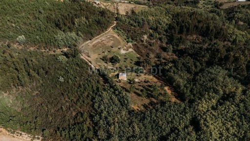 Quinta à venda em Peso