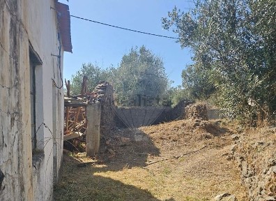 Proença-a-Nova, Castelo Branco