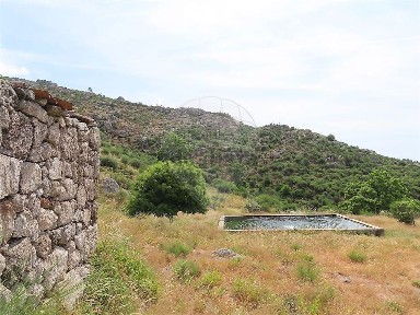 Quinta à venda em São Vicente da Beira