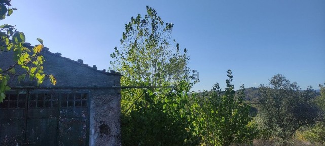Moradia independente à venda em Belmonte