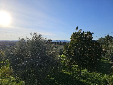 Quinta à venda em Salgueiro do Campo