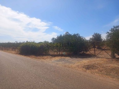 Quinta à venda em Vale Pereiros s/n